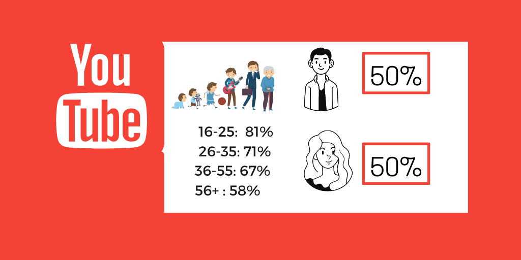 <h3>YouTube User Demographics</h3>