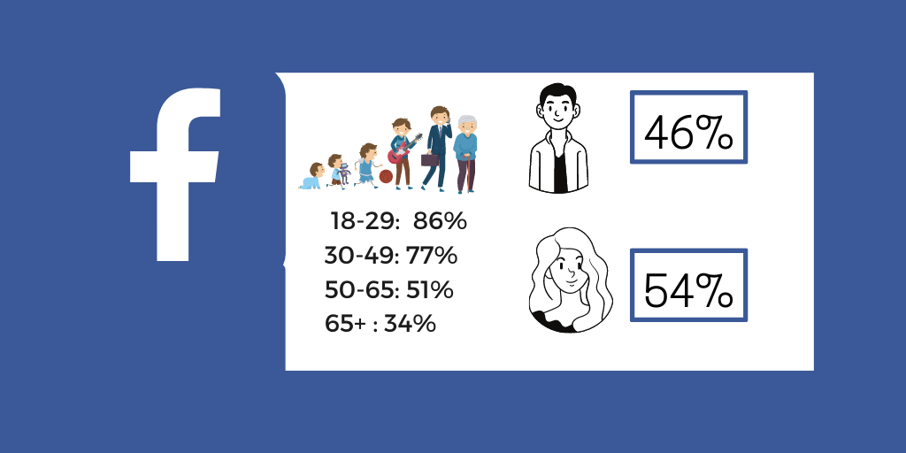 <h3>Facebook User Demographics</h3>