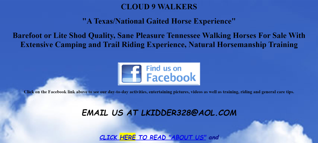 <h3>cloud 9 walkers website</h3>