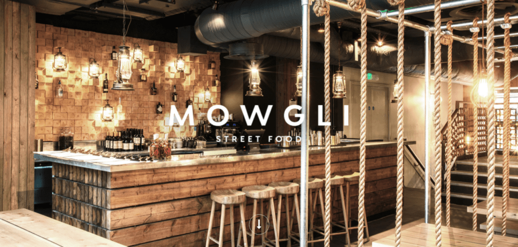 <h3>mowgli homepage</h3>